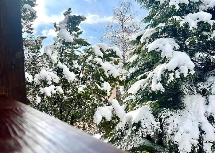 Chalet Bormio Terme