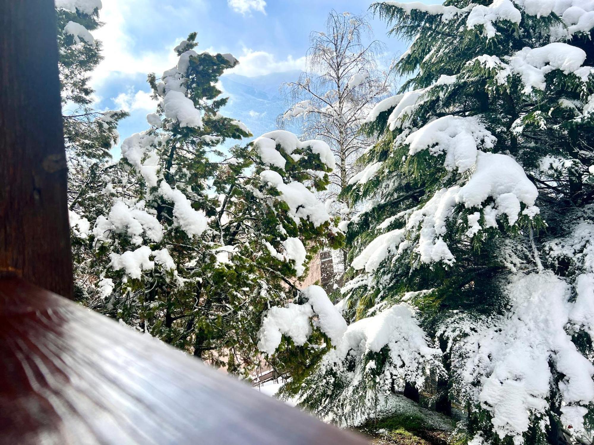 Chalet Terme